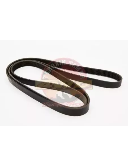 Courroie de ventilateur Terrain Tamer Toyota Land Cruiser