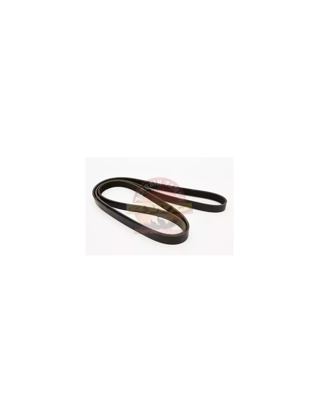 Courroie de ventilateur Terrain Tamer Toyota Land Cruiser