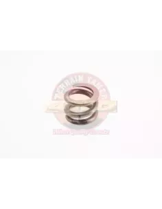 Ressort de Compression Engrenage Latéral LSD Terrain Tamer 2