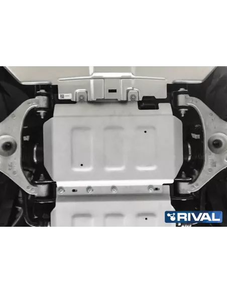 PLAQUE PROTECTION RIVAL MOTEUR FORD RANGER 2012- (bO12)