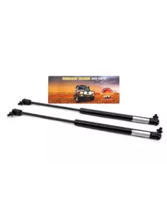 Bras de maintien capot (paire) 100 Series Terrain Tamer