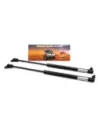 Bras de maintien capot (paire) 100 Series Terrain Tamer