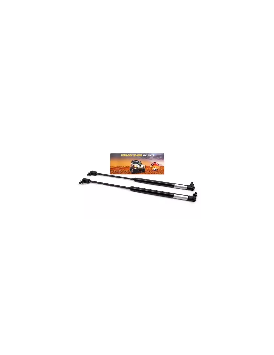 Bras de maintien capot (paire) 100 Series Terrain Tamer