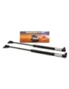 Bras de maintien capot (paire) 100 Series Terrain Tamer