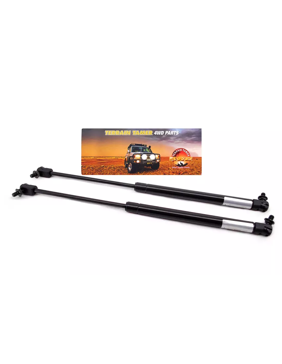 Bras de maintien capot (paire) 100 Series Terrain Tamer
