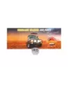Écrou ressort U-bolt Terrain Tamer Toyota Coaster BB4