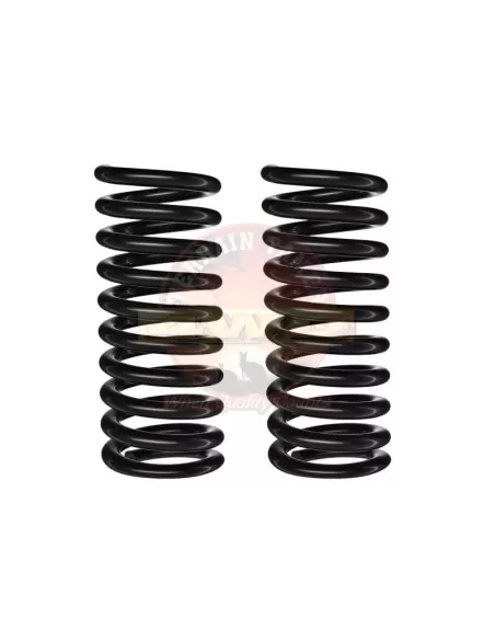 Ressorts hélicoïdaux arrière relevés 40mm de 50kg à 300kg à