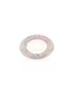 Rondelle de poussée pignon latéral T 0.30 Terrain Tamer 2
