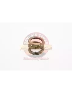 Ressort de compression engrenage latéral LSD Terrain Tamer 2