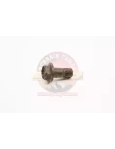 Boulon couronne pont arrière 26 mm long Terrain Tamer 2