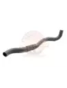 Durite inférieure radiateur moteur YD25T Terrain Tamer