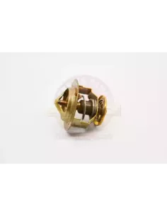 Thermostat L Terrain Tamer Toyota Hilux LN30 10/1981 à 2