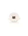 Soupape COLLET L 2L Terrain Tamer Toyota Hilux LN50 11/1984+