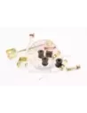 Kit de biellette de barre stabilisatrice arrière Terrain
