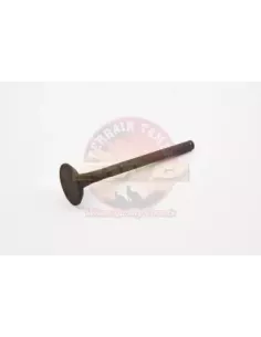 Soupape d'échappement H rainure ronde Terrain Tamer Toyota 2