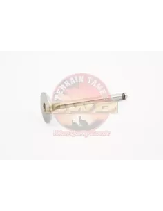 VANNE D'ADMISSION H RAINURE CARRÉE 40MM Terrain Tamer 2
