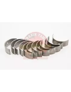Jeu de coussinets de bielle 0,75 3F Terrain Tamer Toyota 2