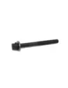 Boulon de culasse 1GDFTV 2GDFTV Terrain Tamer Toyota