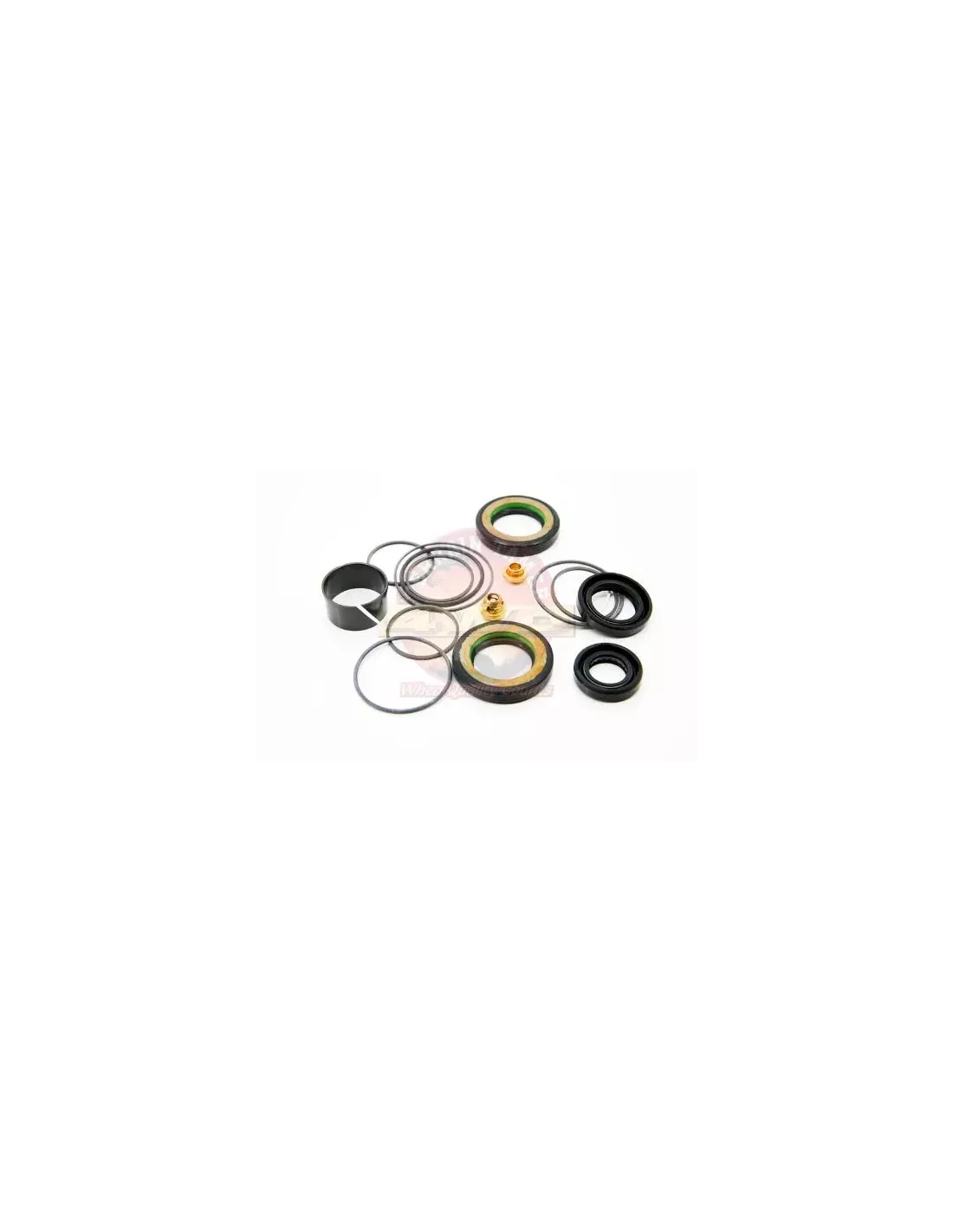 Kit de joints et étanchéité direction assistée Terrain