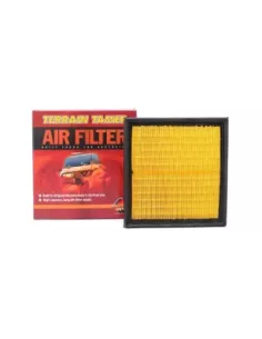 Filtre à air Terrain Tamer Toyota Land Cruiser Prado TRJ250 2