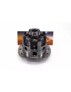 Différentiel Arrière Hémisphère Compatible LSD Terrain