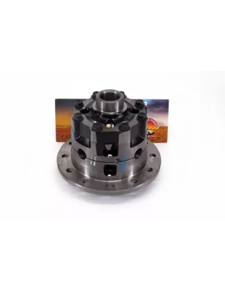 Différentiel Arrière Hémisphère Compatible LSD Terrain