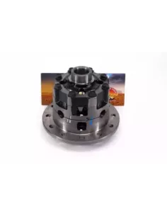 Différentiel Arrière Hémisphère Compatible LSD Terrain 2