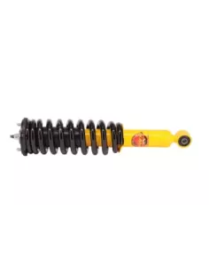 Paire Amortisseurs Coil Over Relevés 40MM 50-100KG Avec