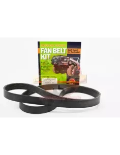 Kit Courroie d'Accessoires Serpentine Terrain Tamer Toyota