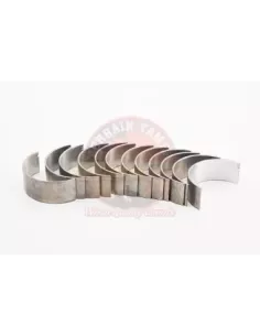 Kit de Roulements de Bielle Standard 1HZ Terrain Tamer