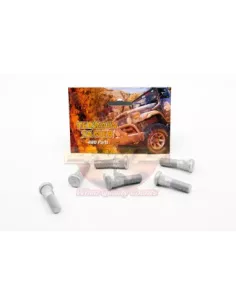 Kit goujons de roue Terrain Tamer Toyota 4 Runner LN130