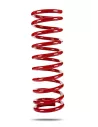 RESSORT ARR. STD PEDDERS NISSAN TERRANO II 1997-2000