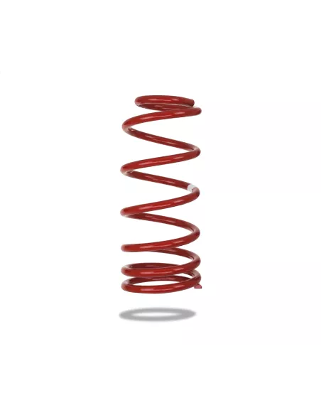 RESSORT ARR. PEDDERS TOYOTA FJ CRUISER / KDJ12 / KDJ15