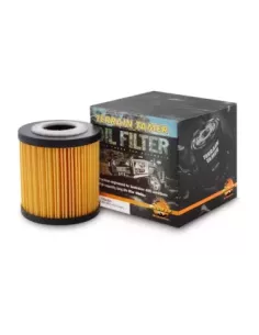 Filtre à huile TT R2720P YN2S 2.0L 2.2L P4AT 3.2L P5AT