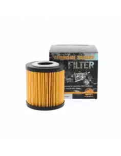 Filtre à huile TT R2720P YN2S 2.0L 2.2L P4AT 3.2L P5AT 2