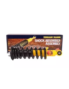 Amortisseurs à ressort hélicoïdal relevés 40mm 100kg paire