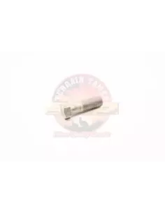 Boulon de fixation étrier de frein avant Terrain Tamer