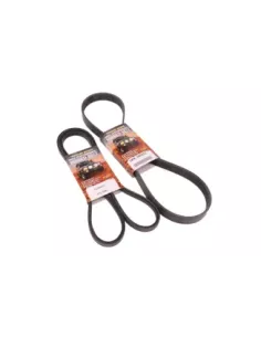 Kit Courroie Ventilateur Compatible Transmission