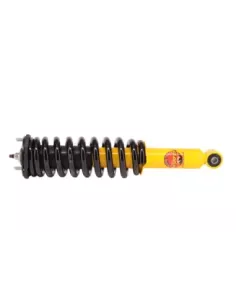 Paire amortisseurs coilover relevés 40mm 50-100kg avec