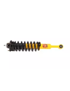 Paire Amortisseurs Coil Over Relevés 40mm 50 à 100kg avec