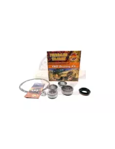 Kit de Révision Différentiel SFRA H233B HG41 Essieu 11