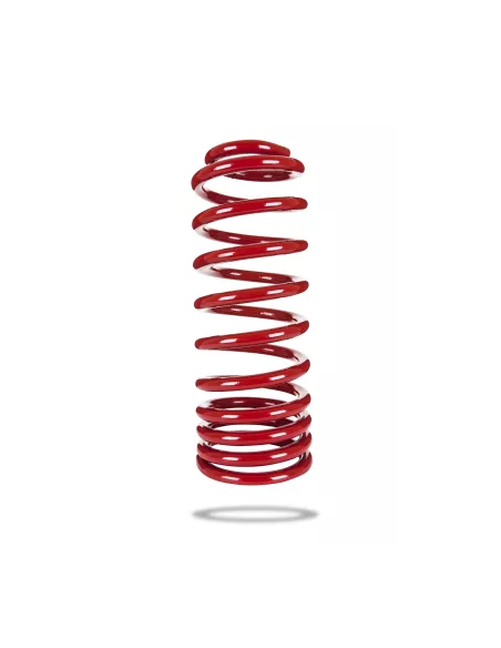 RESSORT ARR. PEDDERS TOYOTA HDJ80