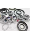 Kit Joints de Bols et Roulements de Pivots GR N4-Offroad