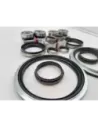 Kit Joints de Bols et Roulements de Pivots GR N4-Offroad