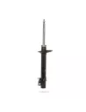 AMORT. AVANT PEDDERS GAZ FIAT DUCATO X250 2007-2017
