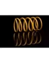 Ressort Arrière Dacia Duster la Paire King Springs