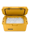 GLACIERE PASSIVE DOMETIC PATROL 35L FEU