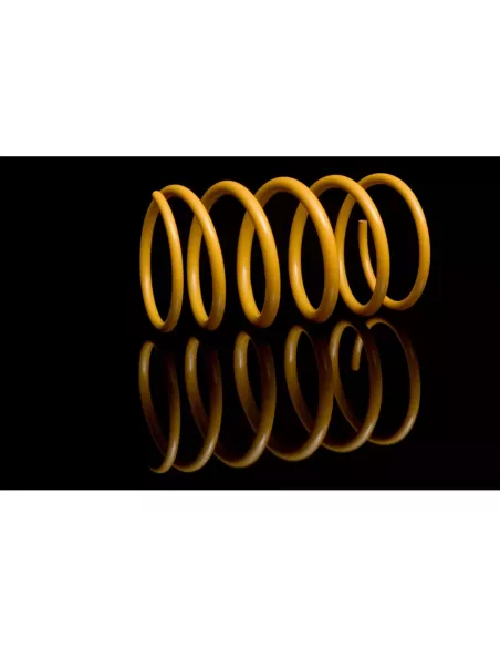 RESSORT AR HDJ80 HDJ100 HZJ105 - La Paire KING SPRINGS - accessoire
