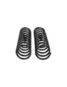 Ressort avant JK D +50 Medium - La Paire OLD MAN EMU - accessoire 4x4
