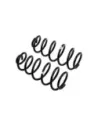 Ressort Arriere Jk 50 150kg la Paire Old Man Emu Jeep